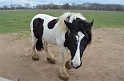Kids_SharkarosaRanch-2013 (134)
